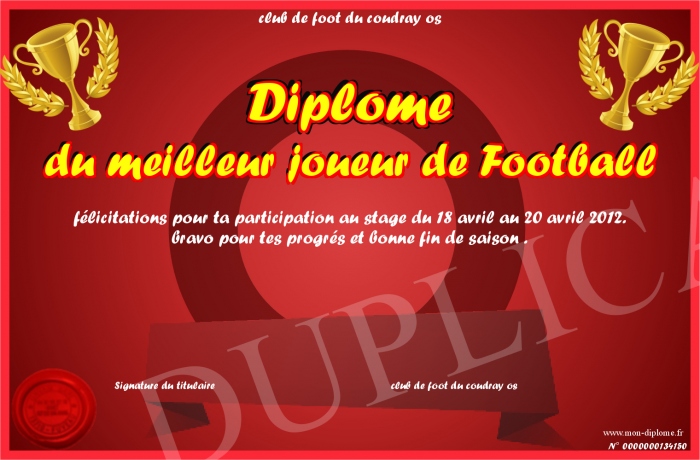 diplome universitaire football